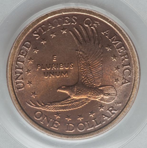 2001-P Sacagawea Dollar improperly annealed sintered planchet error showing copper migration to surface